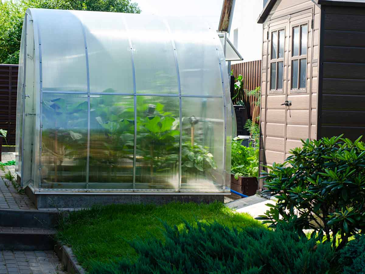 Ein Mini-Gewächshaus passt auch in einen kleinen Garten