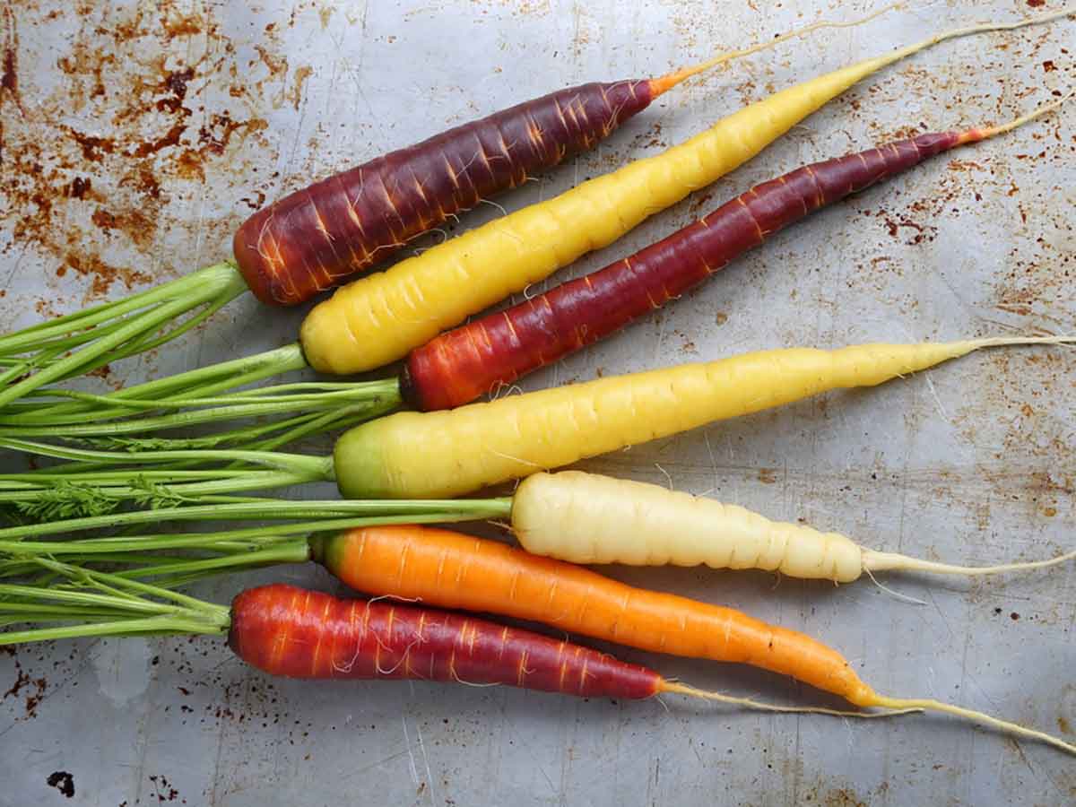 Karotten gibt es in unterschiedlichen Farben